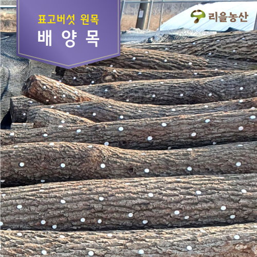 [리을농산] 표고버섯원목(배양목)